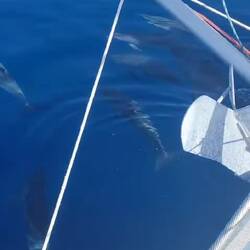 Der Atlantik wie wir ihn noch nicht erlebt haben bisher- spiegelglatt🥰