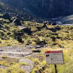 No sign of a Rock Wren