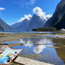 The fjord from Milford Sound