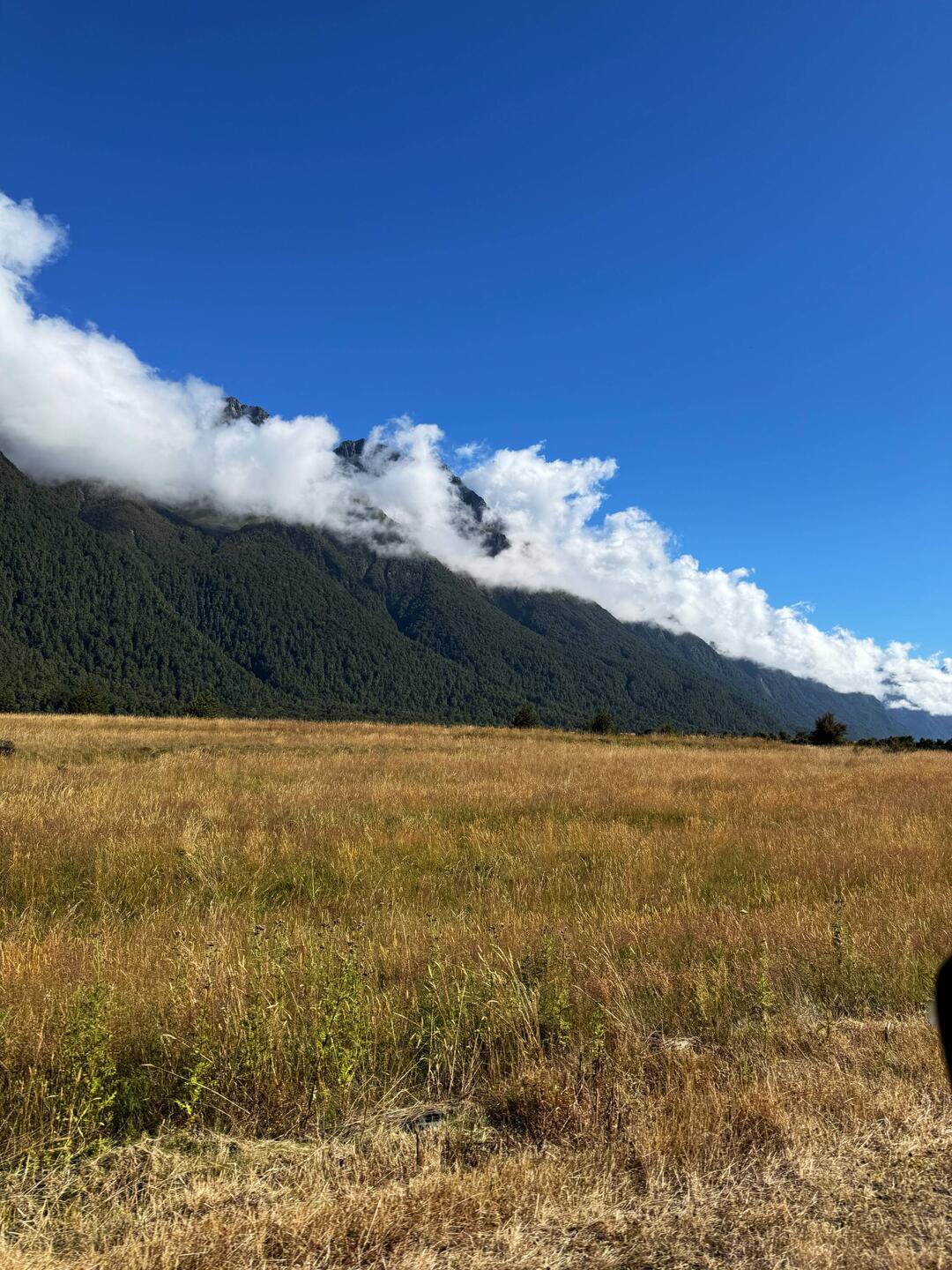 The long white cloud