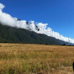 The long white cloud