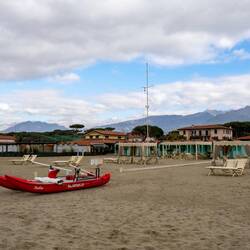 ... mit Carrara Berge im Hintergrund