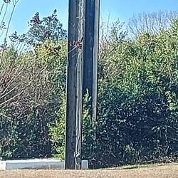 Da ist komplett die eine Seite weggefressen.