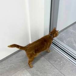 Charly entdeckt den Lift