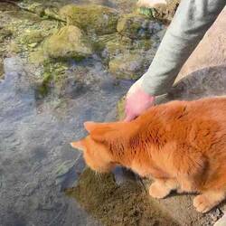 Charly‘s Lieblingsstelle am Bach
