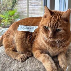 Charly ready für den Umzug ins neue Heim nach Nottwil