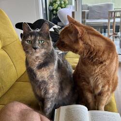 Charly frotzelt mit Schwester Leica