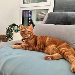 Charly besucht Livio