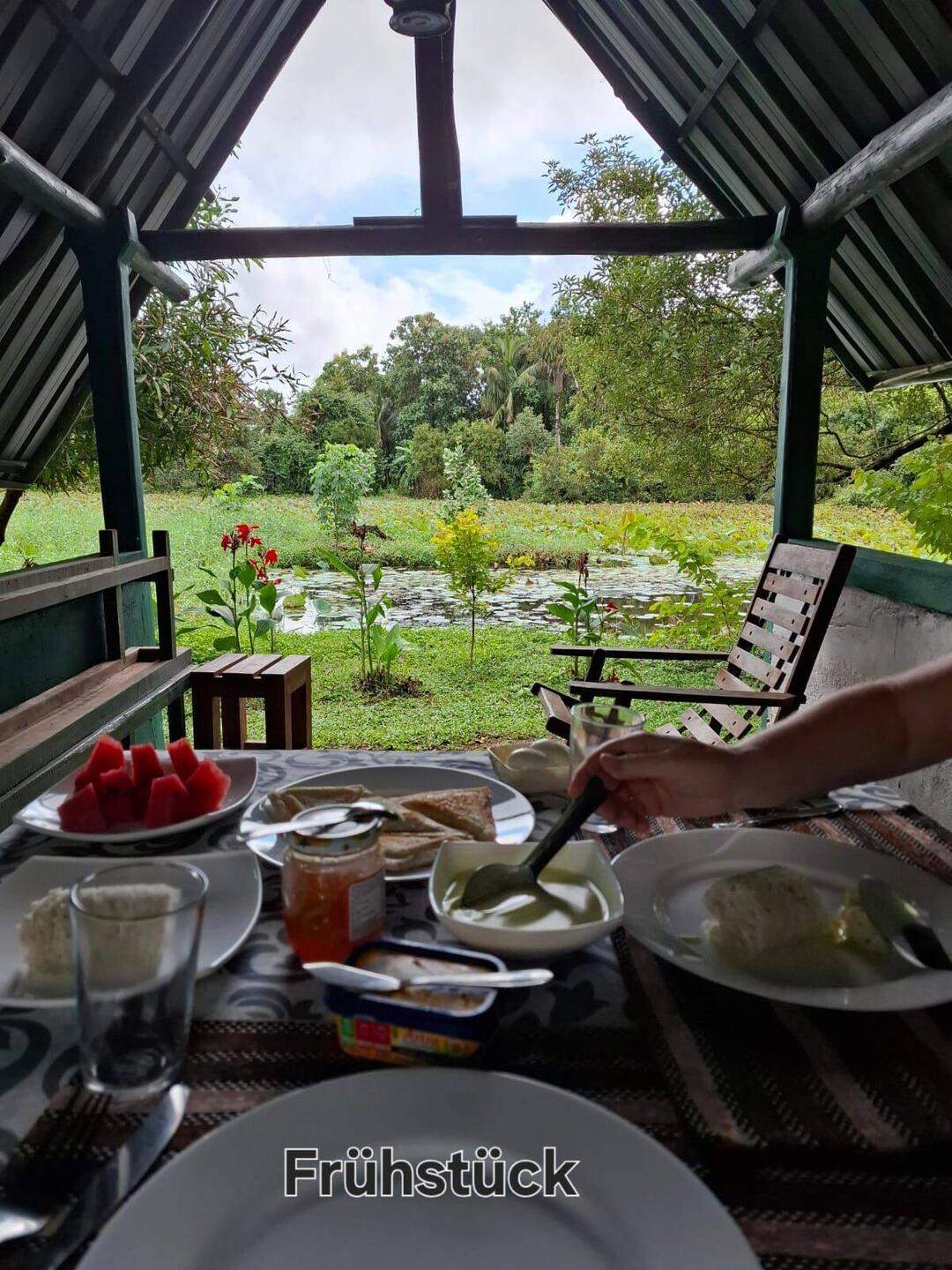 Das letzte Frühstück in Anuradhapura
