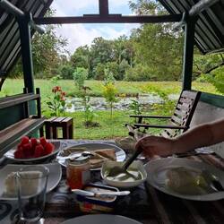 Das letzte Frühstück in Anuradhapura