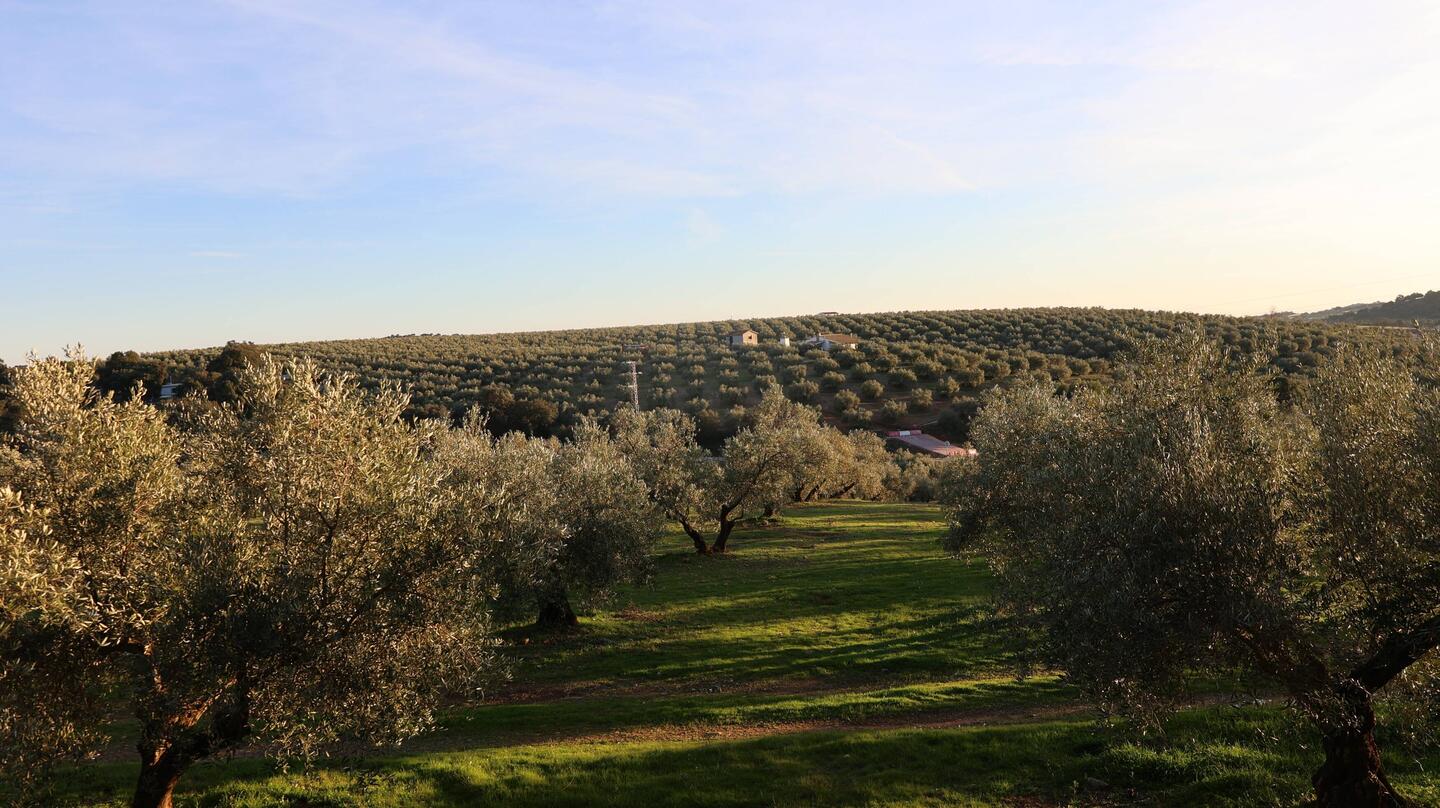 Ausblick vom Camping Despenaperros in Santa Elena
