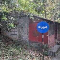 Bei den Kurven muss gehupt werden