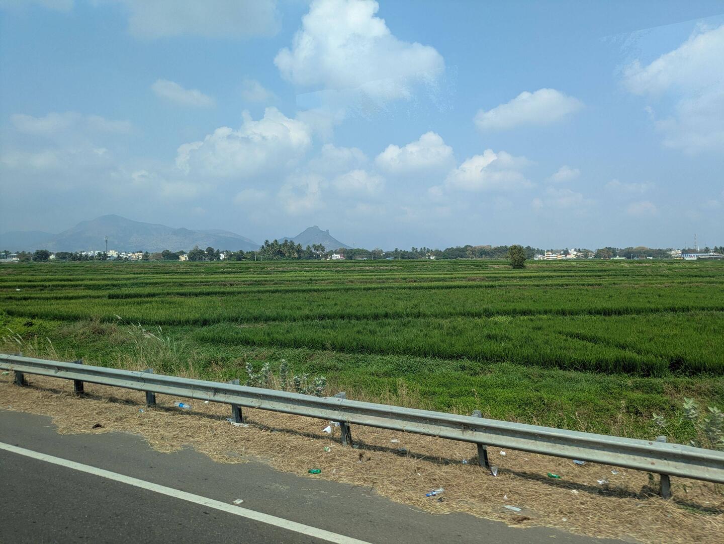 Vorbei an Reisfeldern