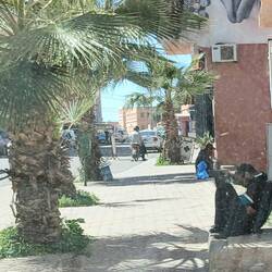 Da ist jemand sehr müde vom Fasten