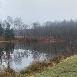 Im Sommer lohnt sich der See besonders.