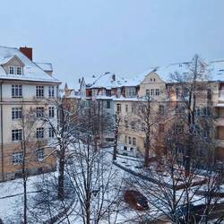 Perfekte Wetterbedingungen 🙄🤦🏻‍♂️