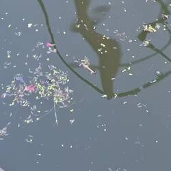 Restos de ofrendas a la diosa Ganga.