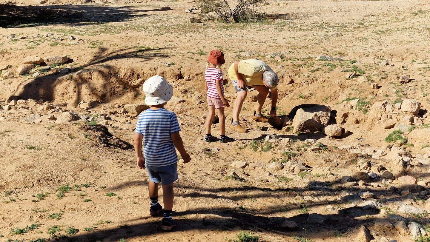 Hier wird bei Tageslicht geschaut, wo sich sie Skorpione verstecken ...