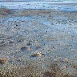 Ebbe... Nicht nur im Portemonnaie