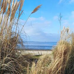 Die Meeresbucht zwischen Wilhelmshaven und Varel