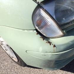 Autoreparatur auf italienisch