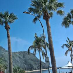 Sahara-Strand Playa de Las Teresitas
