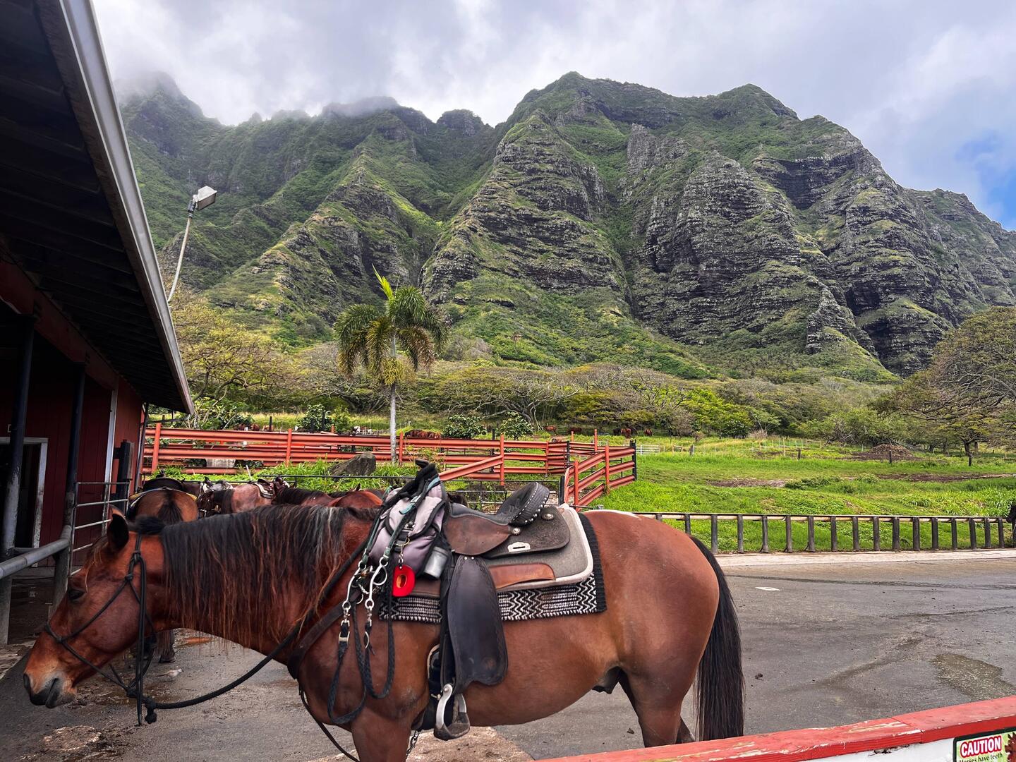 Kualoa Ranch