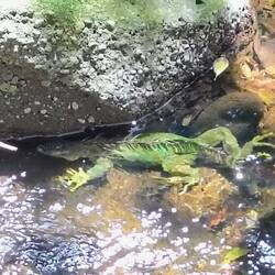 Tja, mit dem Verstecken hat nich so wirklich geklappt 🥴