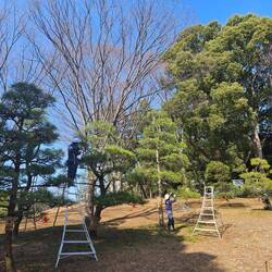 et ceux qui en prennent soins