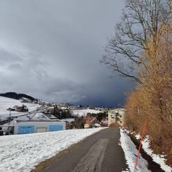 Wieder Winter in Trogen