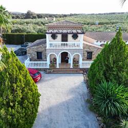 Our gorgeous Andalusien villa nestled amongst olive trees