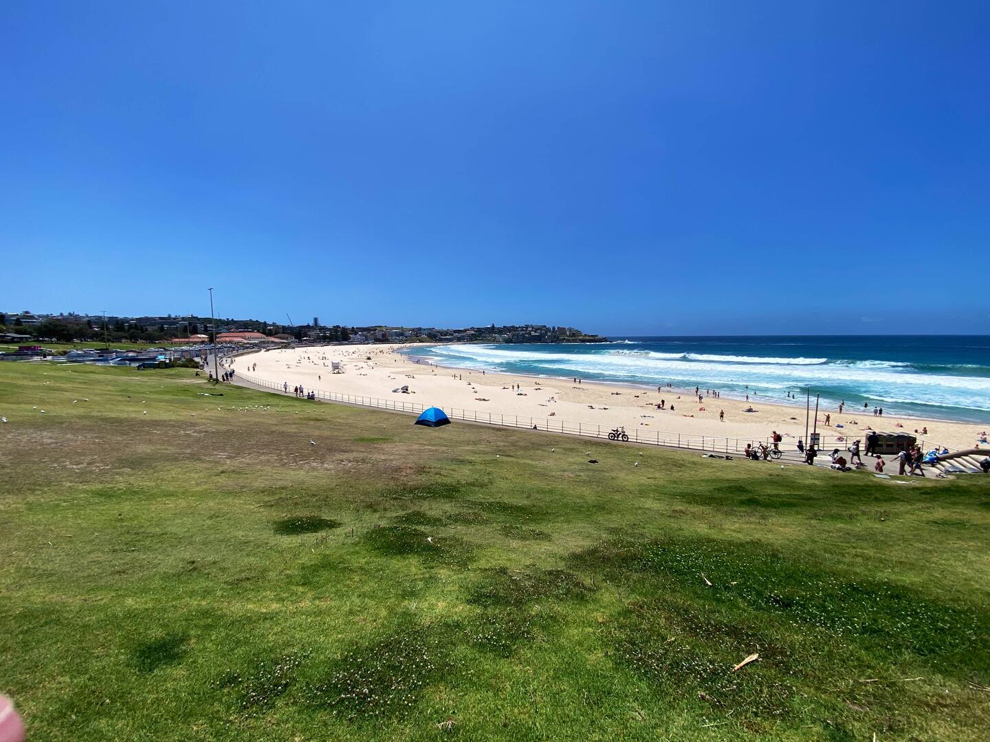 Bondi Beach