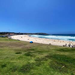 Bondi Beach