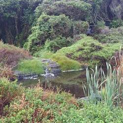 und noch eine kleine Wanderung