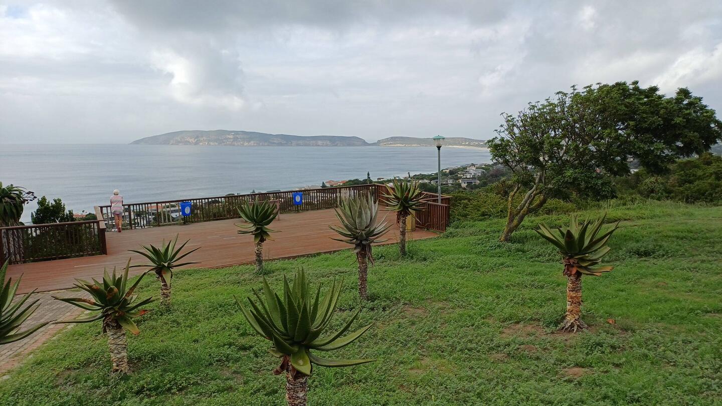 "Plett" Bay, vom Signal Hill aus gesehen