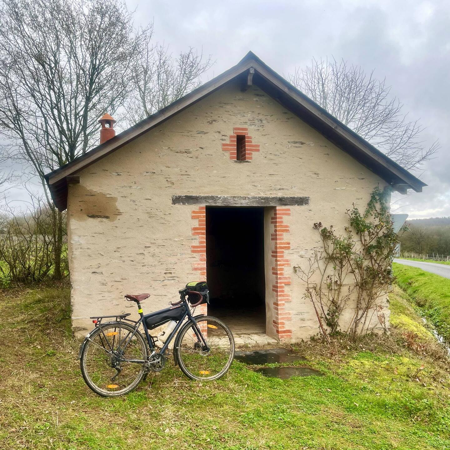 Charlie qui piaffe d'impatience devant une cabane de vigne à Brissac
