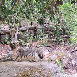 Appelons-le Fernandel 😁🦷