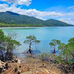 Hier am Cape Tribulation trifft der Regenwald das Meer