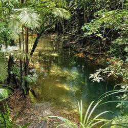 Mitten im Urlaub konnte man anhalten zum Schwimmen (ohne Krokodile 😅)