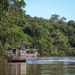 Sicherer ist es, sie vom Boot aus zu sehen