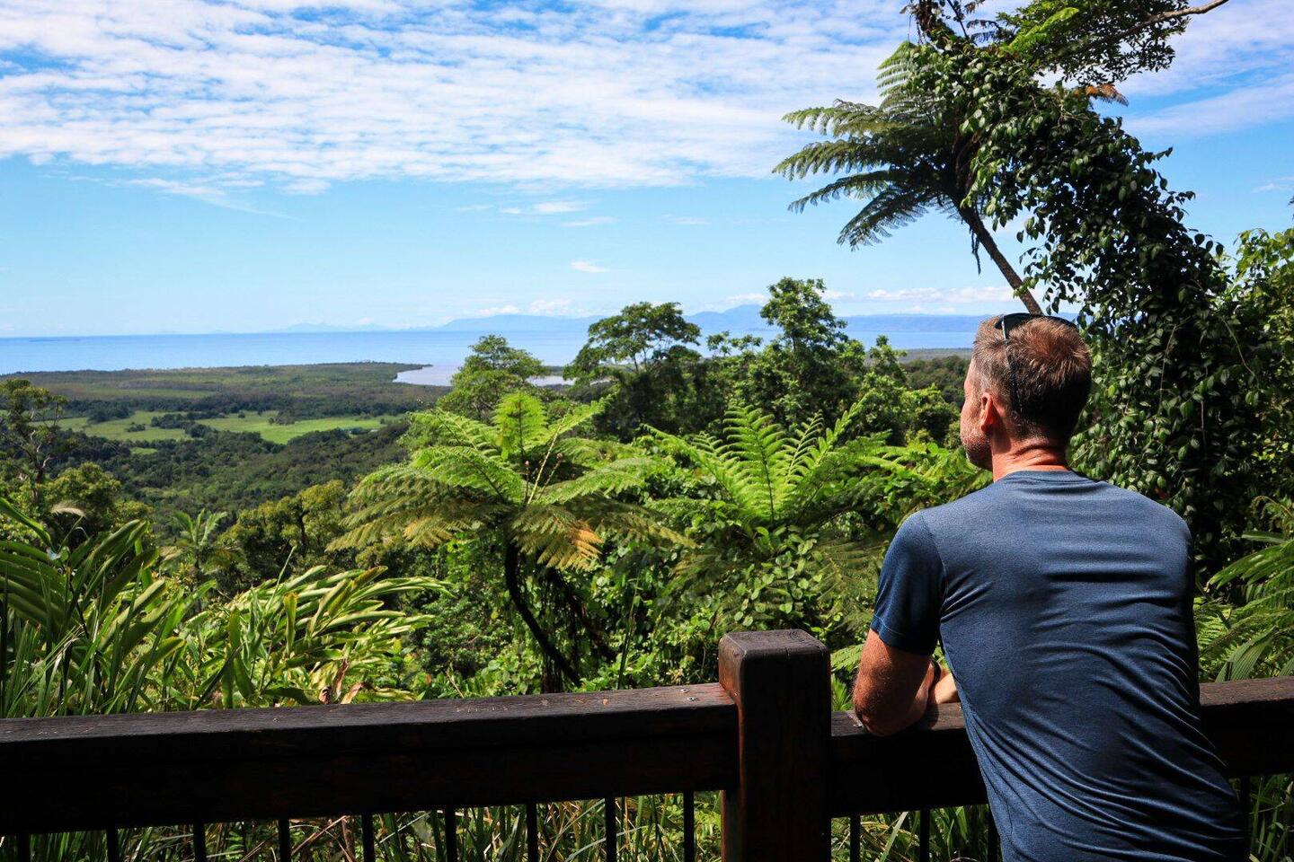Tolle Aussicht auf den Regenwald und das Cap