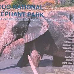 Da wollen wir auch hin