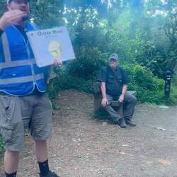 The cicadas were very loud in the trees of Wellington today.