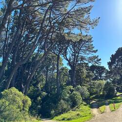 Check out that blue sky!