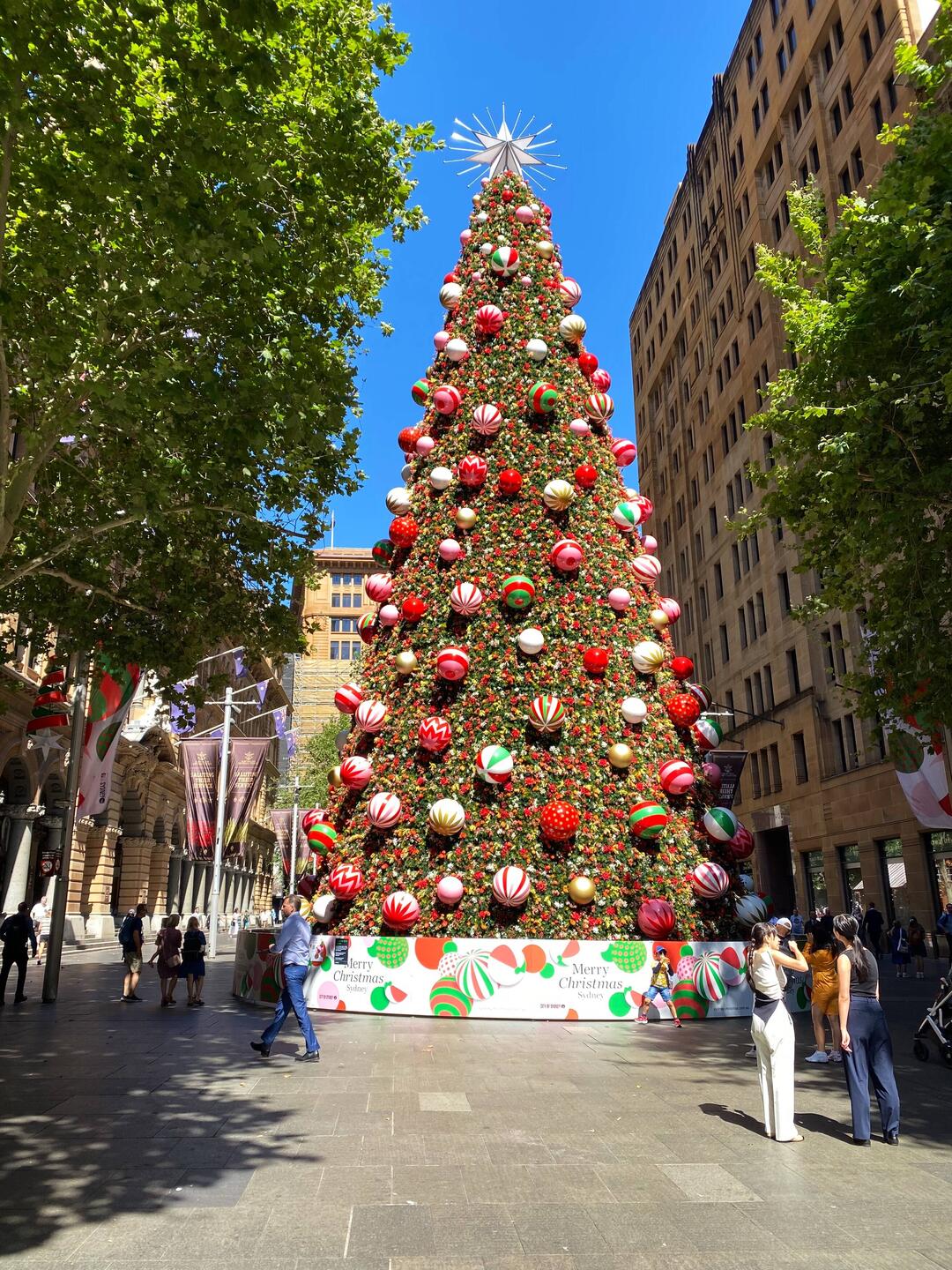 "Kleiner" Tannenbaum mitten in der City