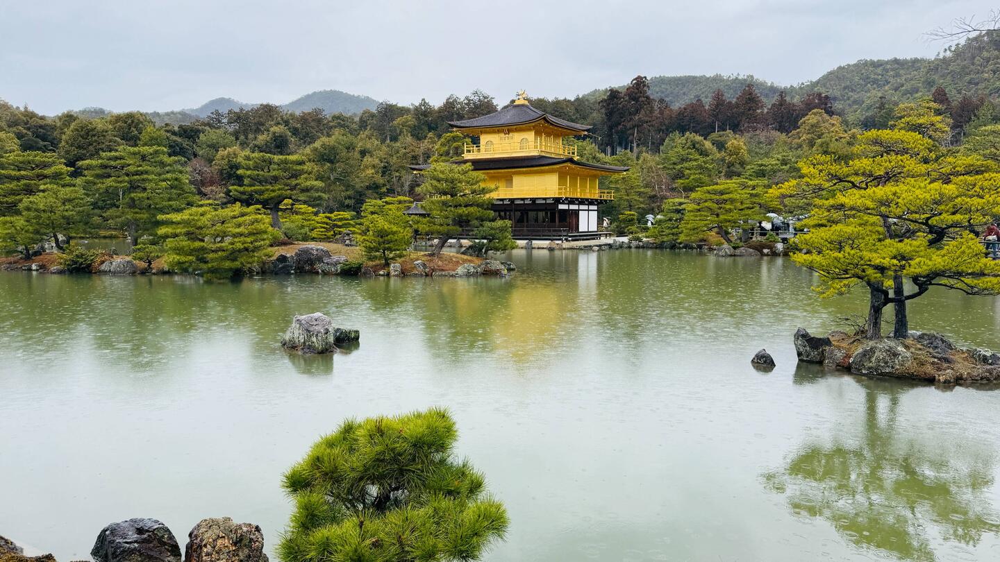 Kinkaku-ji Temple (goldner Pavillon)