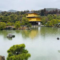 Kinkaku-ji Temple (goldner Pavillon)