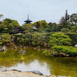 Ninnaji Tempel Anlage