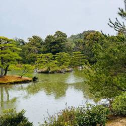 Parkanlage Kinkaku-ji