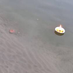 Alla van, llenas de intenciones